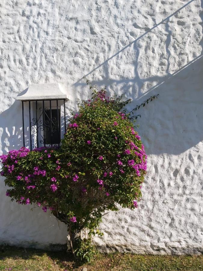 Benamara Gardens, Apartment With Pool, 100M From Beach Near Marbella & Estepona Buitenkant foto